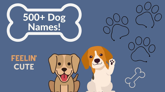 White outlined dog bone with the words "500 + Dog Names!" and two cute puppies waving on the screen feelin' cute. - Doggy Style Blogs