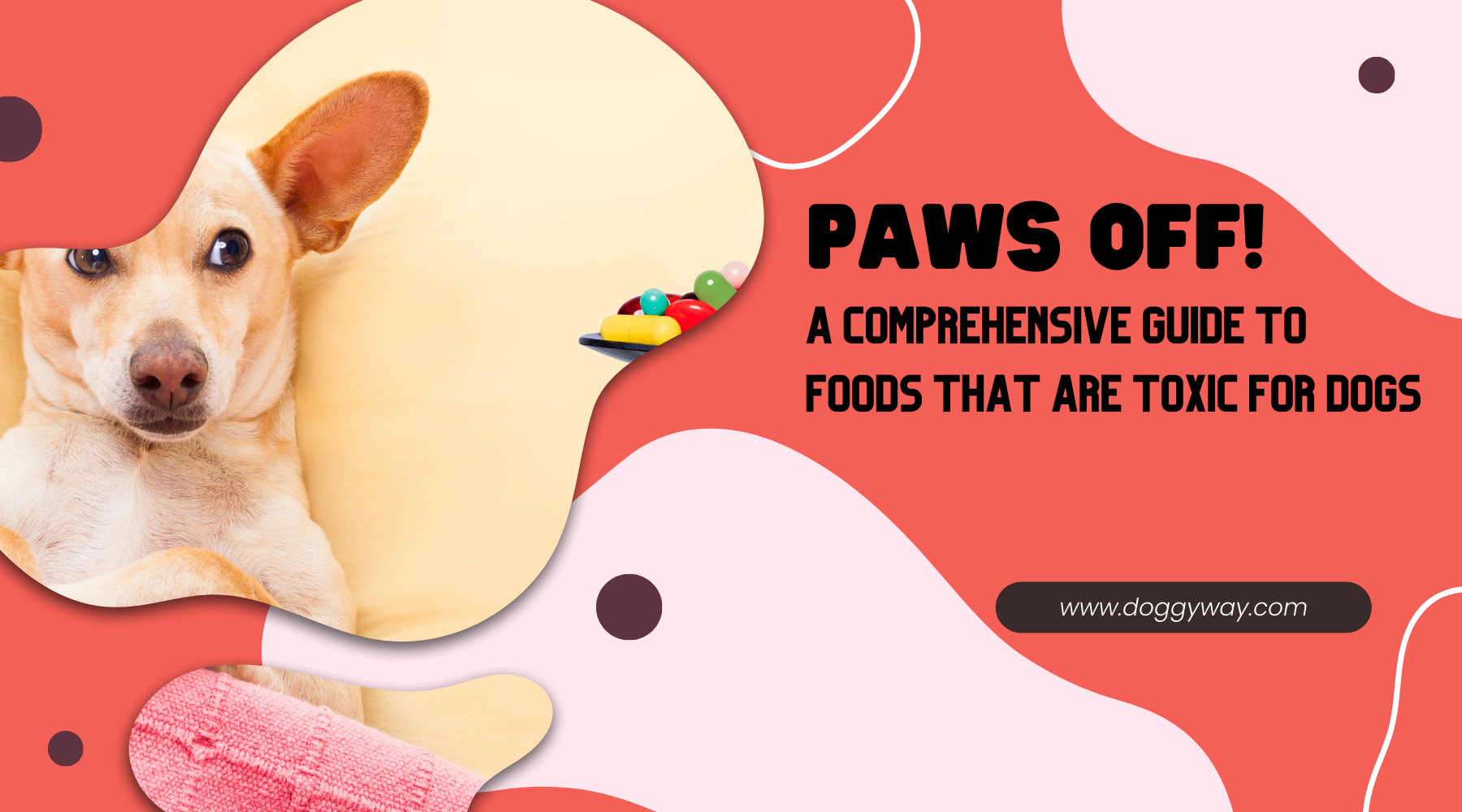 Paws Off! A Comprehensive Guide to Foods That Are Toxic for Dogs