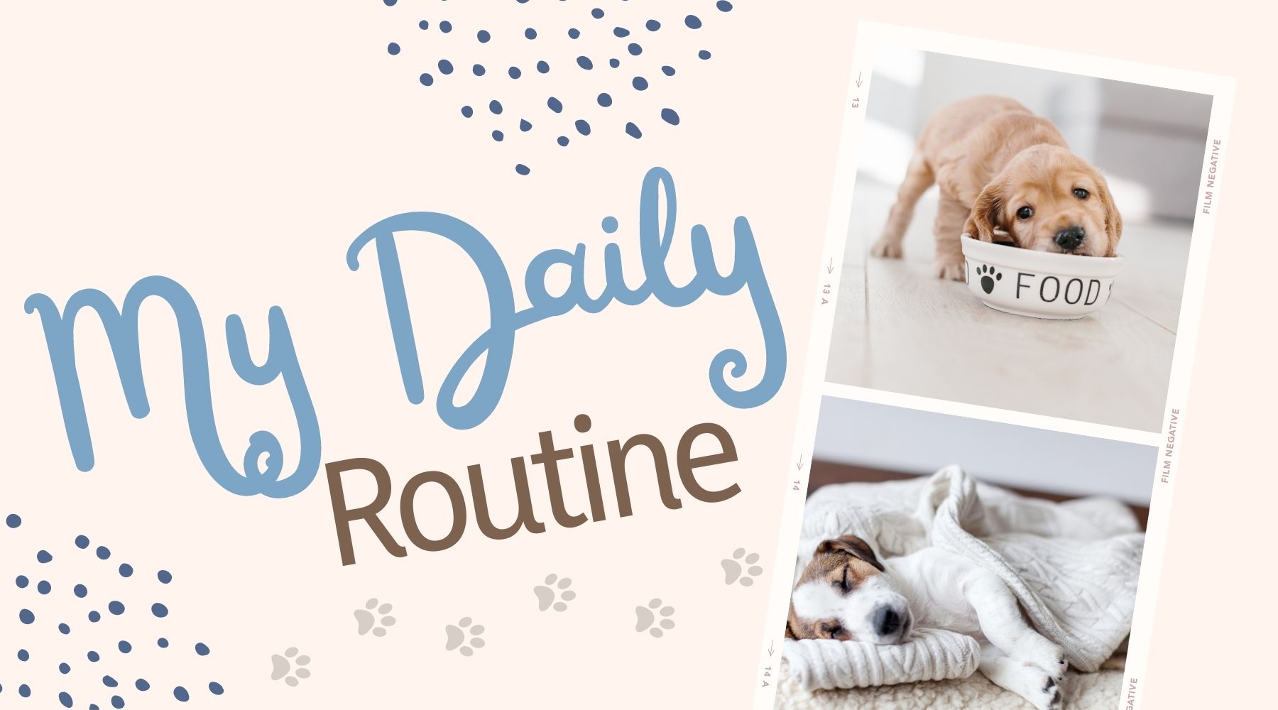 The Importance of Routines for Dogs: A Path to Happier and Healthier Lives