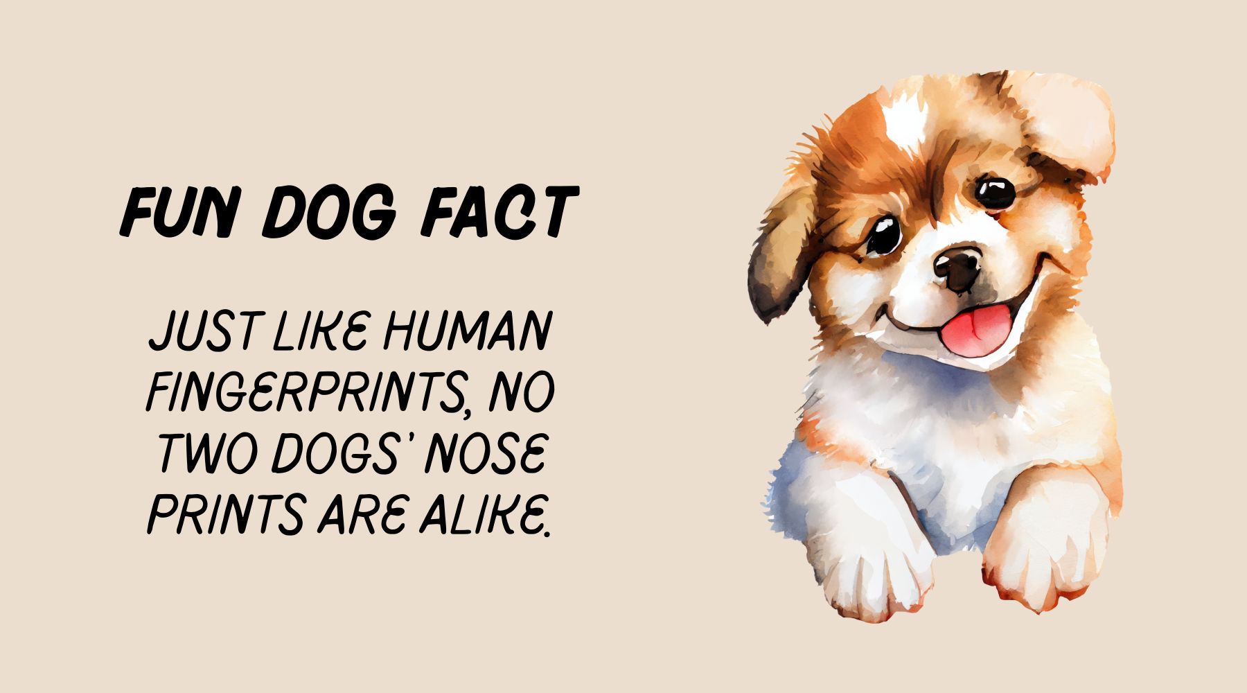 10 Fascinating Fun Facts About Dogs