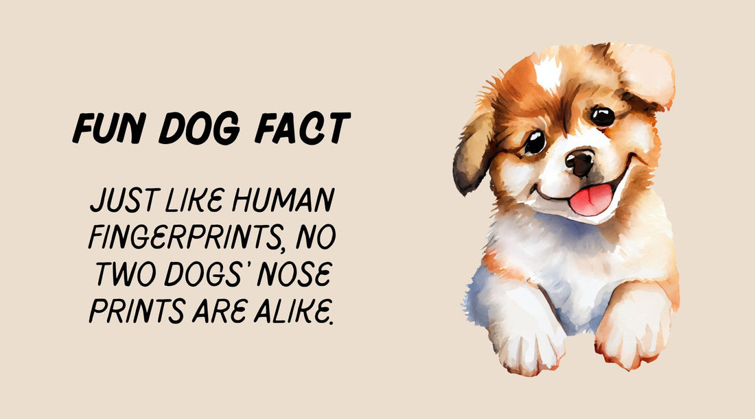10 Fascinating Fun Facts About Dogs – Doggy Style