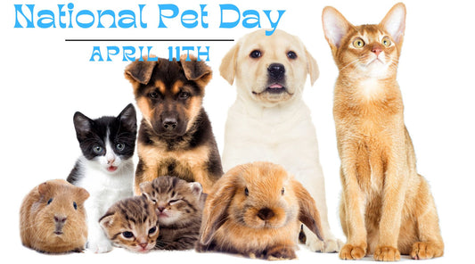 National Pet Day group photo with adorable cats, dogs, guinea pigs, and bunnies - Doggy Style Blogs