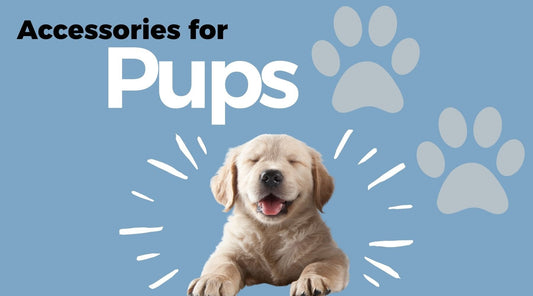 Accessories for Pups, Cute Labrador puppy with paw prints on blue background - Doggy Style Blogs