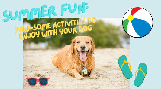 Summer Fun: Paw-some Activities to Enjoy with Your Dog