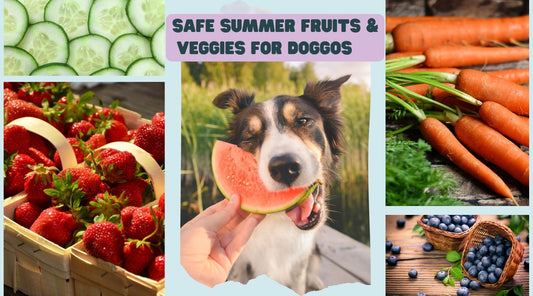 summer fruits and veggies safe for dogs