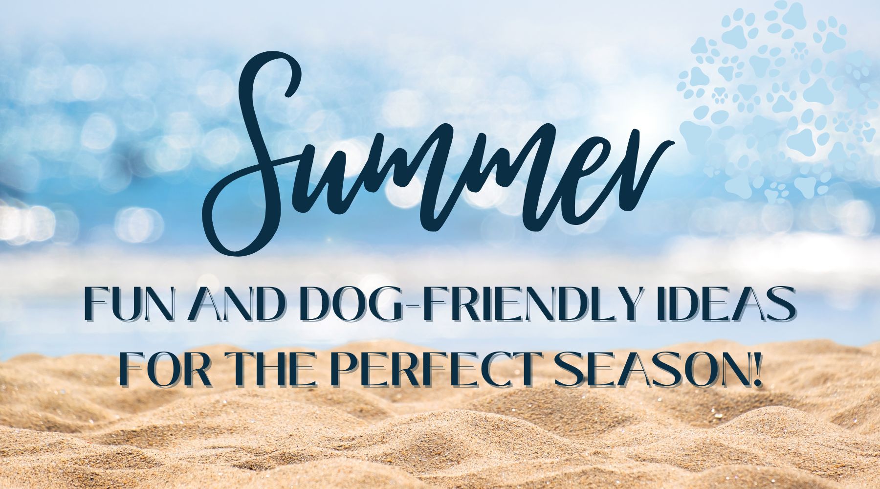Tail-Wagging Summer: Fun and Dog-Friendly Ideas for the Perfect Season!