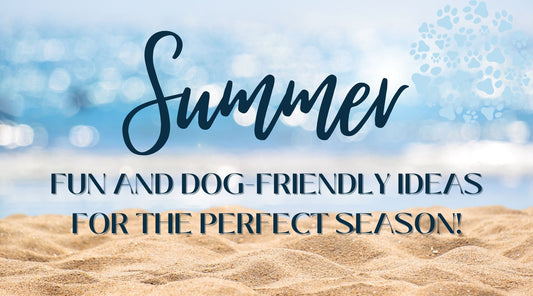 Tail-Wagging Summer: Fun and Dog-Friendly Ideas for the Perfect Season!