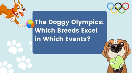 The Doggy Olympics: Which Breeds Excel in Which Events?