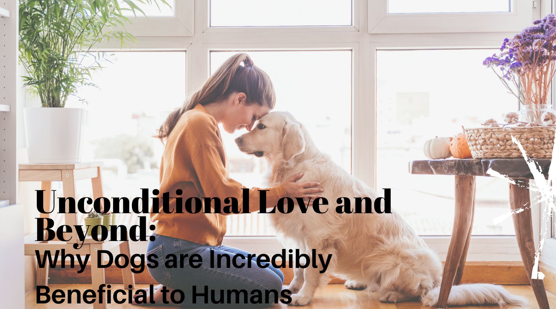 Unconditional Love and Beyond: Why Dogs are Incredibly Beneficial to Humans
