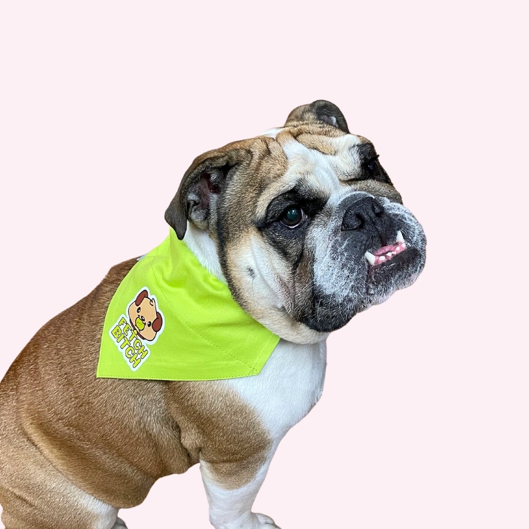 Bandana - "Fetch Bitch" On Dog Photo - Doggy Style Pet Accessories