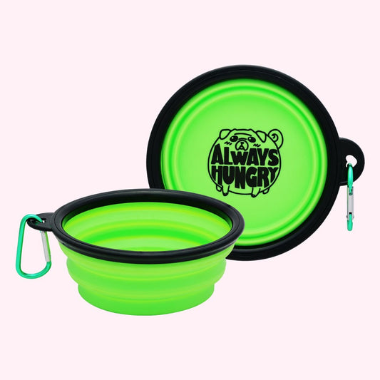 "Always Hungry" Collapsible Dog Bowl - Doggy Style Pet Accessories